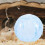 Hamster Running Ball Toy Plastic Sky-Blue 1 Set 3
