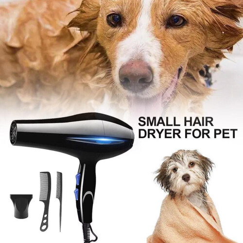 Pet Hair Dryer for Cats and Dogs Compact Multi-Speed Soft 1