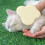 Silicone Anti-static Pet Brush Double-sided 1pc 3