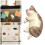 3D Cat Refrigerator Magnet Whiteboard Memo 1 Pack 1