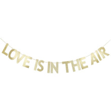 Love is in the Air Banner Gold Glitter Paper 10ft