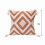 Minimalist Ethnic Throw Pillow 18x18 Inch 2