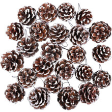 Triani Pine Cones Natural White Brown 18 pcs with Silver