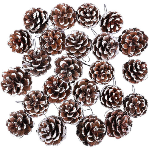 Triani Pine Cones Natural White Brown 18 pcs with Silver