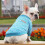 Dog Sweater Warm Soft Small Dog Winter Outfit 1 Pack 5
