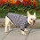 Dog Sweater Warm Soft Small Dog Winter Outfit 1 Pack 7