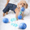 Interactive Dog Toy Rolling Ball ABS Pet Toy 5