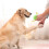 Pet Toys Interactive Squeaky Rubber Chew Toy TPR 1 Pack 4