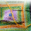 Rectangle Embroidery Hoop Set 5 Pieces with Needles 5