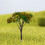 Artificial Tree Decor for Miniature Gardens Terrariums 6