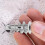 Cavity Wall Anchors Screws 20 Sets 4
