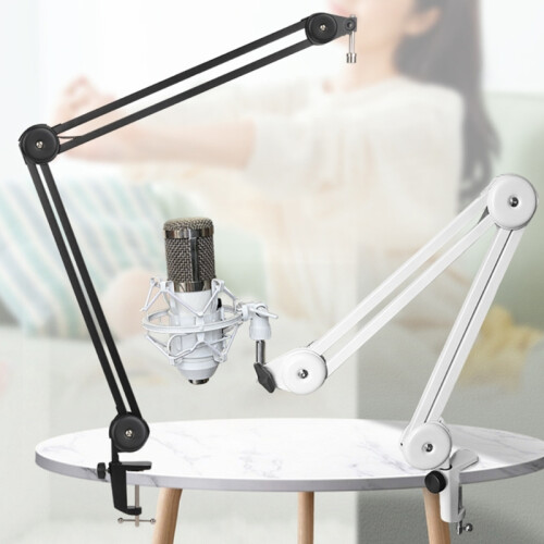 Foldable All-Metal Mic Boom Arm Stand for Podcasters and 1