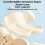 Memory Foam Truck Seat Cushion with Lumbar Support 6