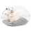 Hamster Bathtub and Sand Bath Box Transparent Habitat with 4