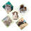 Hamster Bathtub and Sand Bath Box Transparent Habitat with 7