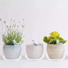 Pflanzenunterschale für Den Garten, Rund, Blumentopfuntersatz, Kunststoff, Wasserdicht, Rutschfest, Transparent, 25 cm