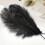 Black Ostrich Feathers Home Wedding Decoration 1 Pc 3