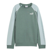 (13-14 Years, Green/Moon) Puma Childrens/Kids Sportstyle Relaxed Fit Raglan Long-Sleeved Sweatshirt