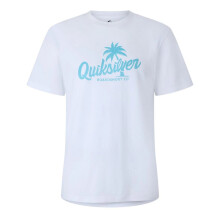(L, White) Quiksilver Mens Graphic Print T-Shirt