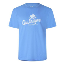 (L, Riviera Blue) Quiksilver Mens Graphic Print T-Shirt