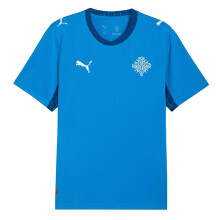 (L, Blue/White) Puma Mens World Cup 2026 Iceland Home Shirt