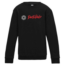 (13 Years, Black) Star Wars Childrens/Kids Darth Vader Sweatshirt