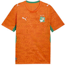 (XL, Orange/Green) Puma Mens Fifa World Cup 2026 Ivory Coast FC Home Shirt