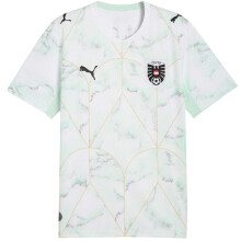 (M, White/Mint) Puma Mens World Cup 2026 Austria FC Away Shirt