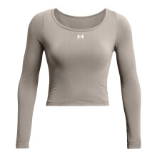 (M, Frost Gray) Under Armour Womens/Ladies Vanish Long-Sleeved T-Shirt