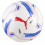 Puma Puma EFL Panelled Football 2