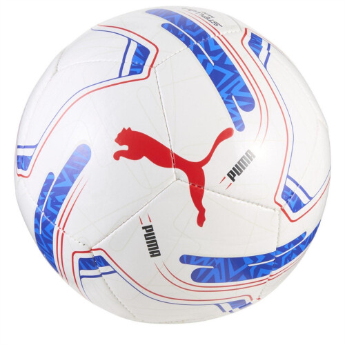 Puma Puma EFL Panelled Football 1