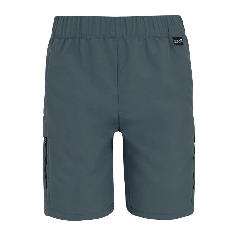 Regatta (5-6 Years, Dark Storm) Childrens/Kids Sorcer Iii Shorts