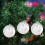 White Shatterproof Christmas Balls Plastic Ornaments 3.15 6