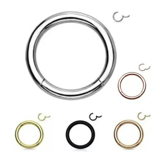 Surgical Steel Double Stack Hoop Clicker Nose Ring Purple 2