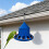 Automatic Pigeon Feeder PP Trough 7kg 11-Port 4