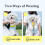 Ventilated Pet Carrier Backpack Blue Small Medium Dogs 3