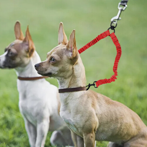 Reflective Double-Ended Dog Leash Retractable with Dual 2
