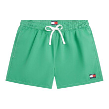 (S, Bahama Green) Tommy Hilfiger Mens Swim Shorts