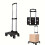 Folding Push Cart with Rotating Wheels 4/5-Wheel 4