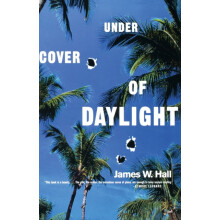 Under Cover of Daylight by James W Hall Paperback Book