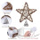Rattan Christmas Tree Topper Star with 10 Warm LED Lights 4