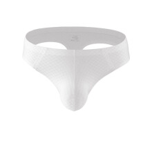Men's Low Waist Briefs Breathable Mesh G-String White L