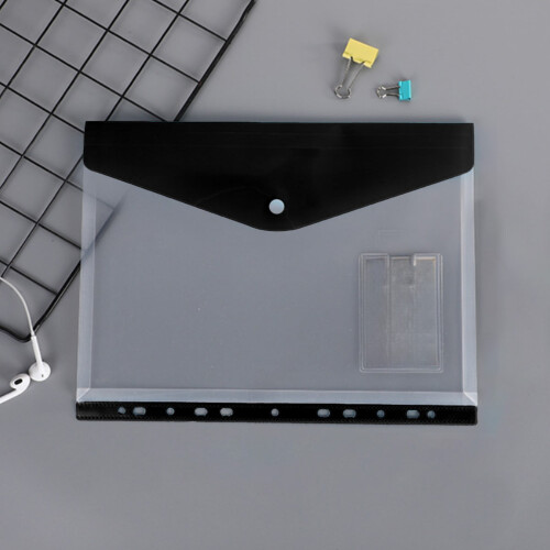 Expandable Binder Pocket Organizer 11-Hole Plastic Envelope