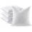 Throw Pillow Inserts Set of 4 Soft Fluffy 22 x 22 Inches 1