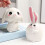 Ceramic Piggy Bank for Adults Decorative Saving Pot 1 Pack 3