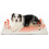 Self-Warming Thermal Pet Bed Mat Small Non-Slip Washable 1
