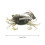Crab-Shape Soft Silicone Fishing Lure with Barbed Hooks 5
