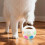 Interactive Chew Toy with Handle for Calming Chewing Play 4