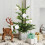 Velvet Christmas Balls White 2.36 Inch 4-Pack 6