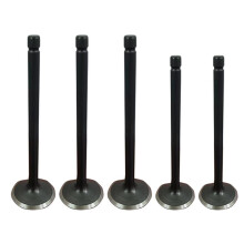 Motorcycle Exhaust Valves Inlet Intake Stem Kit for 660 YFM660 YFM660F 4X4 2002-2008 Motorcycle Engine Parts